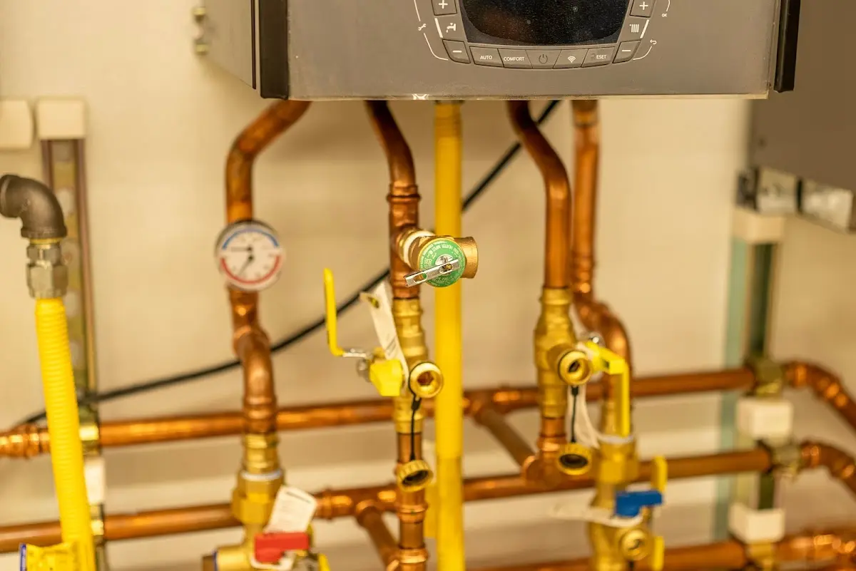 Licensed technician providing Water Heater Installation for a homeowner in Opelika